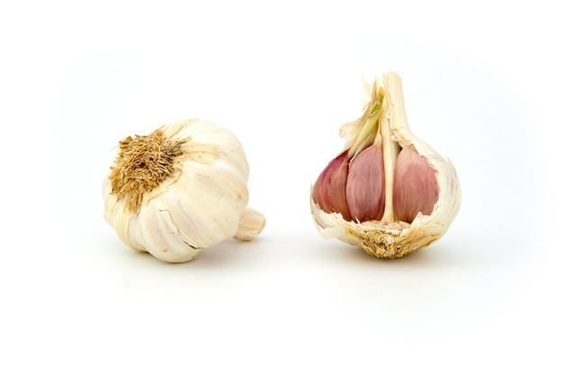 anti- ageing garlic