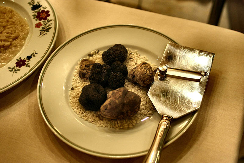 truffle Children's day